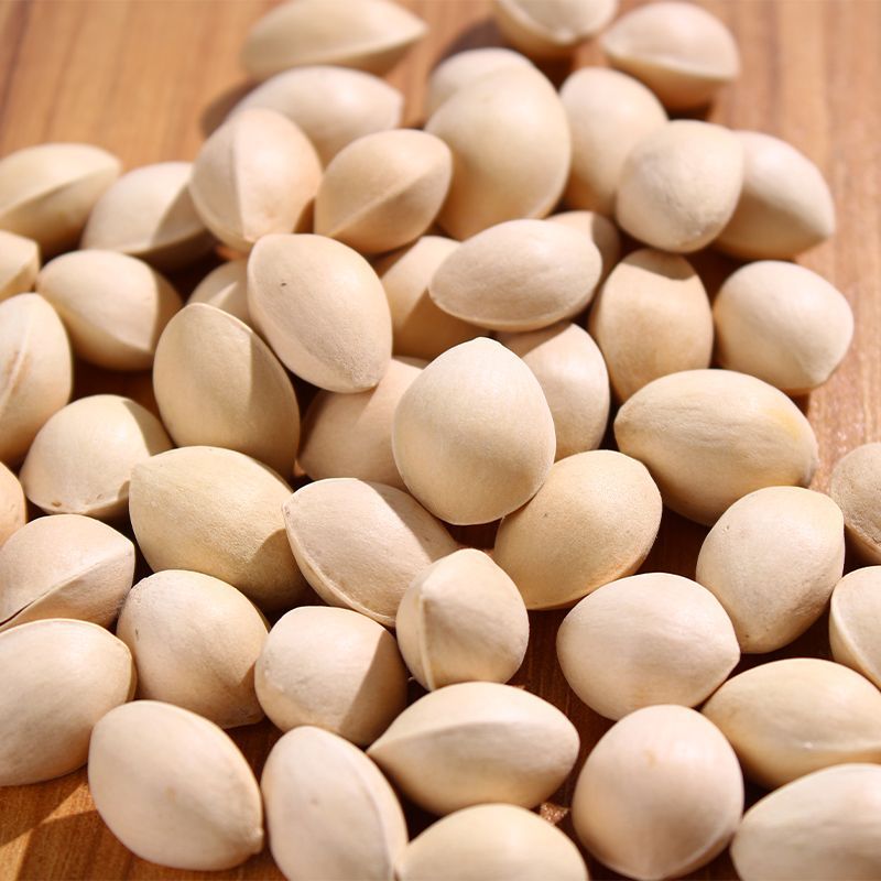 Selection of Fresh White Ginkgo Nuts with Shells, Raw White Kernels, No Bleaching, Wholesale from Xuzhou Pizhou