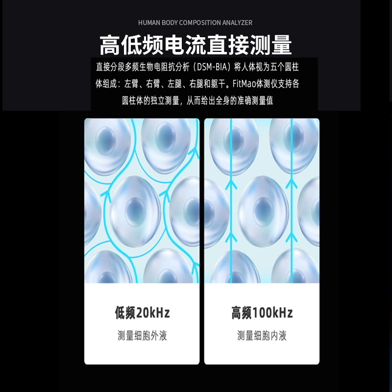 Cross-Border Amazon Human Body Bia Bioimpedance Analyzer Physical Examination Bmi Measurement Body Fat Measurement Instrument Manufacturer