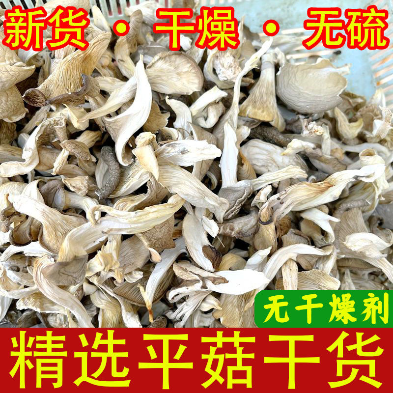 New Arrival of Dried Oyster Mushrooms 500g, Edible White Mushrooms, Dried Oyster Mushroom Strips, Phoenix Tail Mushrooms Wholesale