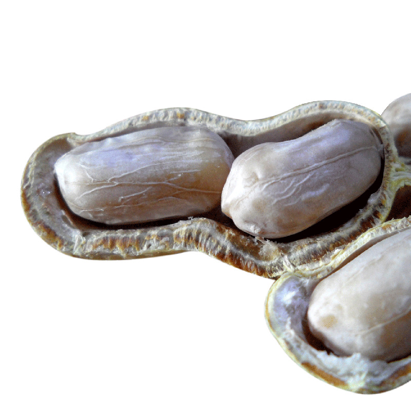 Longyan Shelled Boiled White Sun-Dried Garlic Five-Spice Crispy Peanuts 500g Per Bag Snack Nut Specialty Wholesale