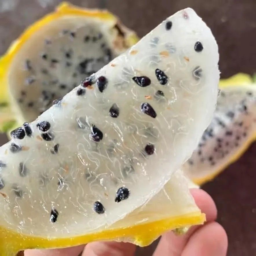 Authentic Kirin Bird's Nest Fruit 2.5kg Whole Box Fresh Tropical Fruit Yellow Skin Wholesale Free Shipping 1.5kg Yellow Dragon Fruit