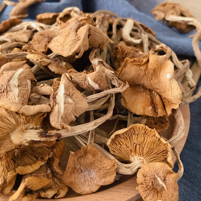 Guojuntang Tea Tree Mushroom Yunnan Dry Goods Wholesale Unopened Umbrella Soup Source Manufacturer Large Volume Price Excellent Spot Can Be Delivered