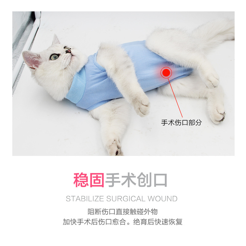 Cross-Border Cat Sterilization Clothing Velcro Weaning Clothing Breathable Elastic Anti-Licking Harassment Cat Clothing Pet Supplies Ready Stock