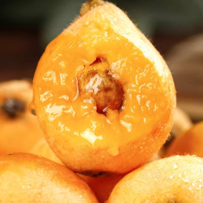 Yunnan Mengzi Sweet Loquat Fresh Fruit Changhong Pipa Fresh Seasonal Fruit for Pregnant Women 2.5kg Large Fruits Whole Box Free Shipping