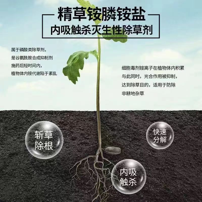 Jin Guan Leopard Essence Grass Ammonium Phosphate Salt Kills Malignant Weeds Small Flying Puff Ox Tendon Orchard Tea Garden Herbicide Root Rot Agent