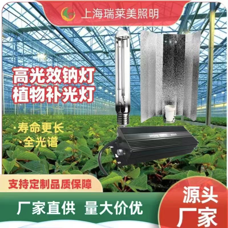 Agricultural green plant greenhouse fill light high light efficiency sodium lamp plant growth lamp HPS-600W electronic ballast three-piece set