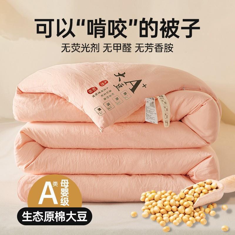 Class a Raw Cotton Soybean Quilt Thickeneded Spring & Fall Quilt Summer Quilt Soy Fiber Quilt Core Winter Quilt Dormitory Single Quilt Quilt a