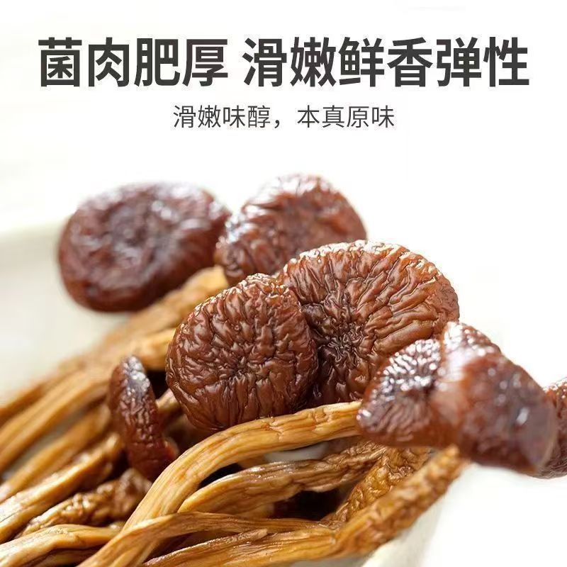 [Dropshipping] Authentic Tea Tree Mushroom Bagged Dry Goods, Crispy, Tender and Fragrant Tea Tree Mushroom Fresh Health-Preserving Bacteria Soup