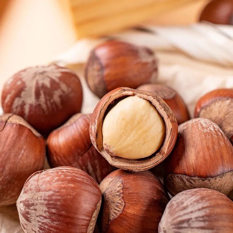 New Northeastern Hazelnuts in Cans, Full Kernels, Crispy Nuts, Snacks for Pregnant Women, Dried Goods, Natural and Easy to Peel