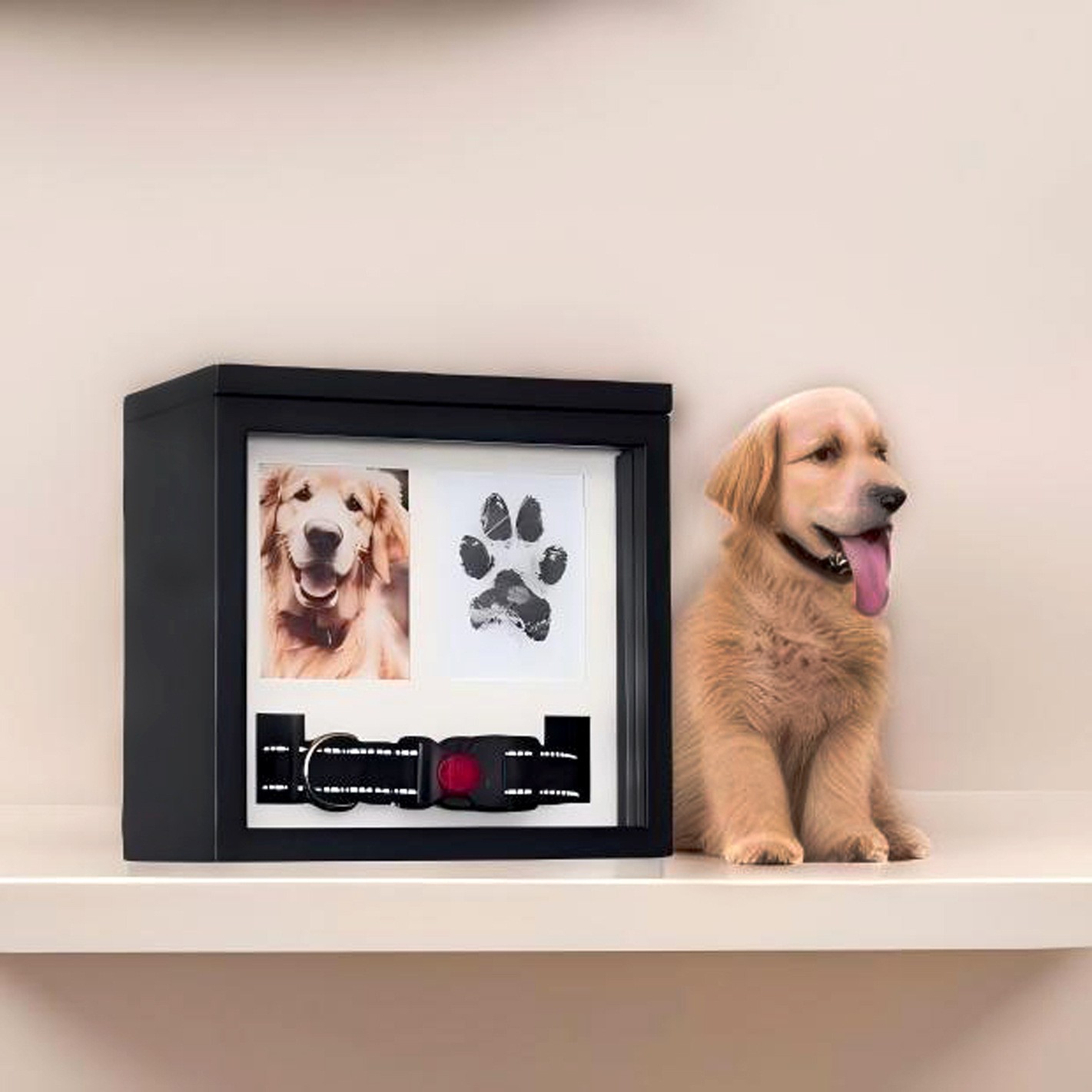 Cross-Border Pet Urn, Puppy and Cat Memorial Box, Dog and Kitten Pet Funeral Box with Photo Frame, Pet Memorial