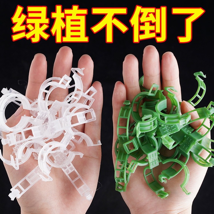 Vine Buckle Grape Rose Climbing Vegetable Correction Traction Buckle Flower Pot Greenhouse Vegetable Garden Green Plant Garden Gadget