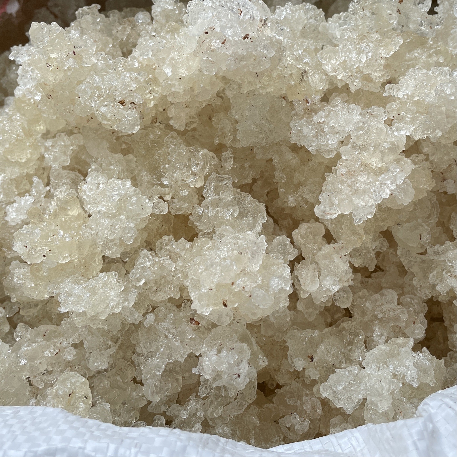 Yunnan brushed snow swallow 5A large particle full popcorn snow swallow plant collagen without adding more assured wholesale generation
