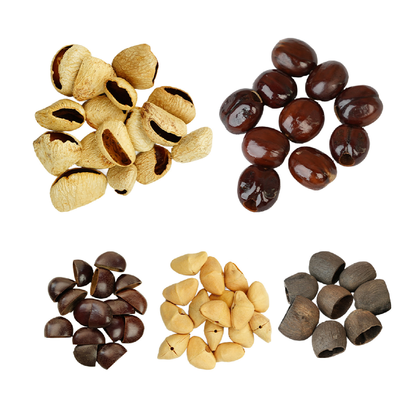 Cloud Healing Duck Tendon Vine Fruit Shell Wind Chime Hand Bell Raw Materials DIY Materials Wholesale Factory Bell Sound Beam Pendant Fruit