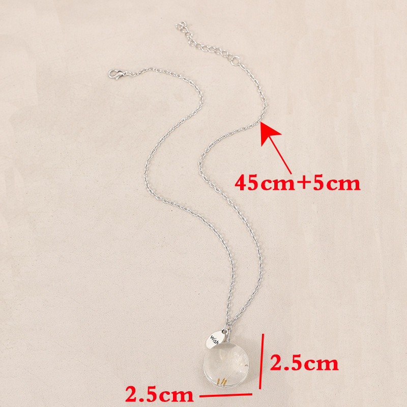 Wish cross-border new fresh simple wind three dandelion time gem pendant necklace wholesale
