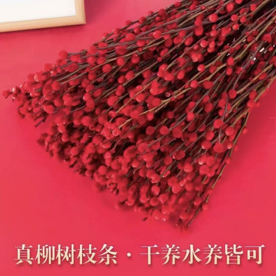 [Ready Stock] [Thick] Silver Willow Real Flower Fresh Branches Red Willow Branches Living Room Ornaments Dried Flowers Red Water Culture