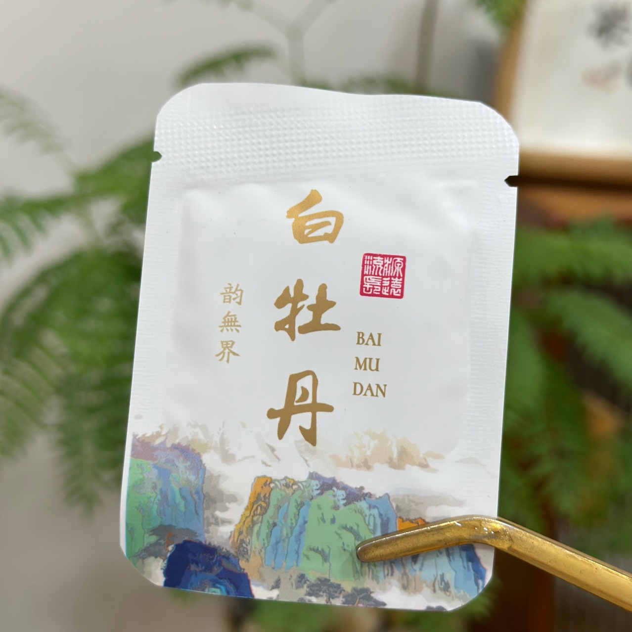 Tangerine Peel white tea small square piece white tea independent packaging Xinhui Tangerine peel old white tea birthday eyebrow biscuit independent packaging