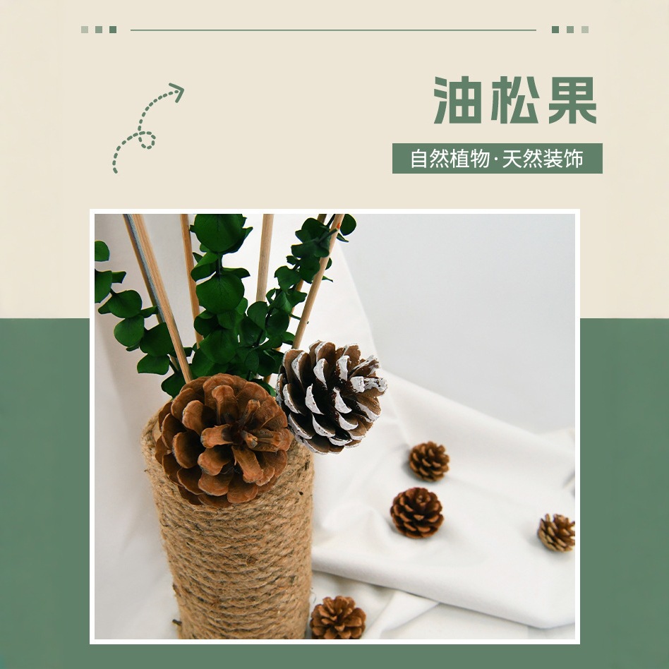 Hanging Line Pinecone North Local Pinecone Pinecone Pinecone 3-7cm Pastoral Style Decoration Ornamental Dried Original Color Pinecone Pinecone