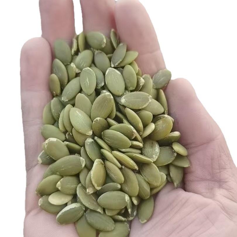 Pumpkin Seeds Wholesale New Goods Raw Pumpkin Seeds 25kg Grains Pumpkin Seeds