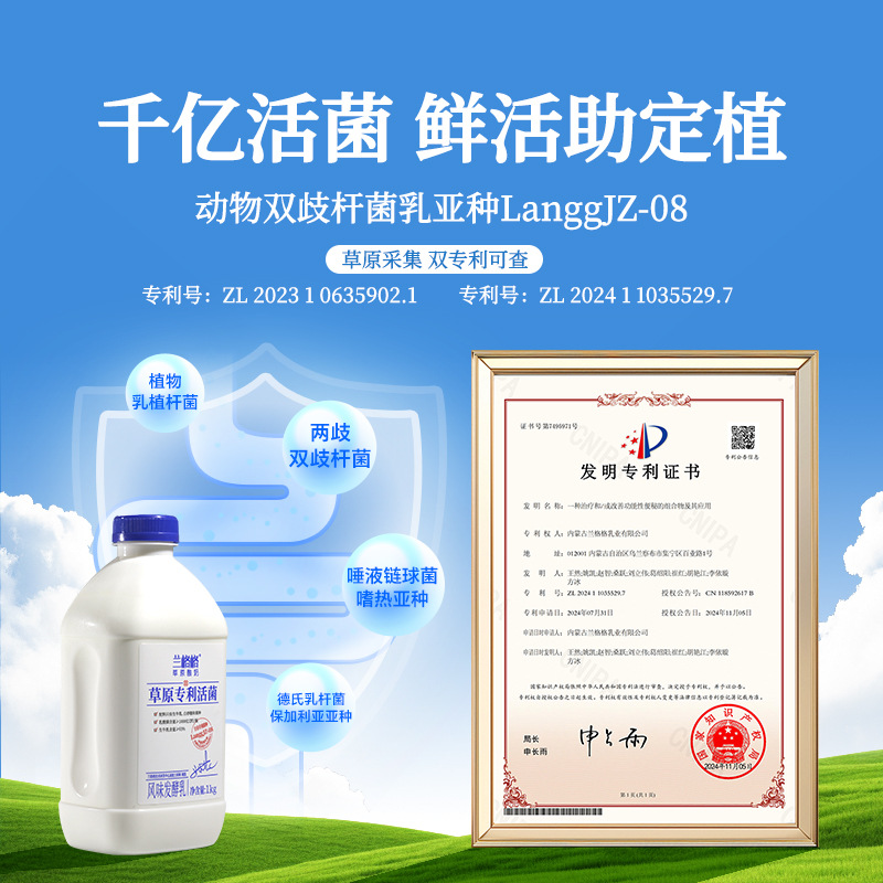Langege Grassland Patented Live Bacteria Raw Milk Fermented Yogurt 1kg Can Be Used as Dry Yogurt Whole Box Wholesale