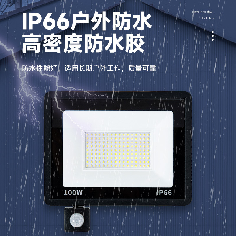 Small apple induction flood light 10W50W100W full power led garden light wholesale outdoor waterproof flood light