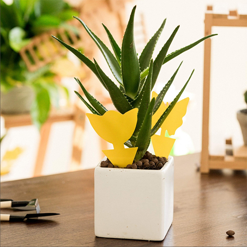 Insect stickers double-sided factory direct yellow flower trap butterfly yellow board Amazon gardening fly trap