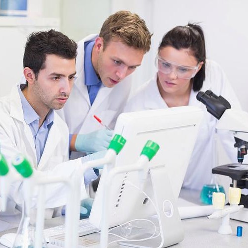 Chlorinated Nicotine Hydrochloride Nicotine Chloride Hydrochloride 20260-53-1 Content 99% High Purity Factory Direct Supply