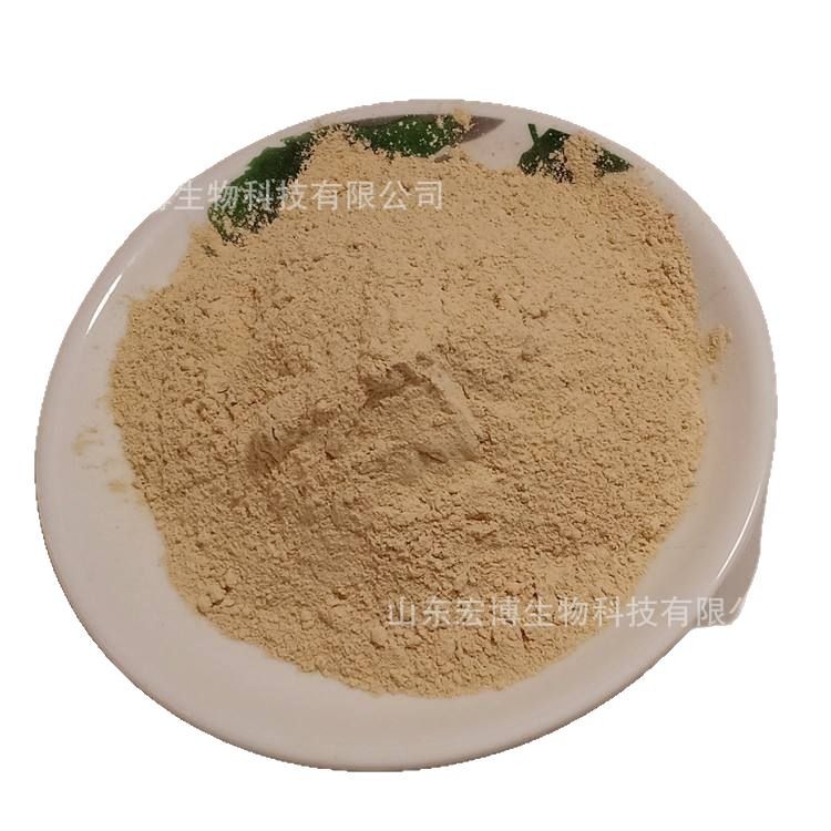 Rice Protein Powder Feed Grade Pet Aquatic Protein 80%-90% Chicken Feed Hydrolyzed Rice Protein Powder