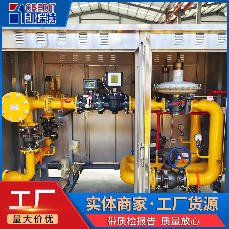 Stainless Steel Gas Pressure Regulating Cabinet Natural Gas Pressure Regulating and Reducing Equipment Gas Boiler Cng Pressure Regulating and Metering Cabinet