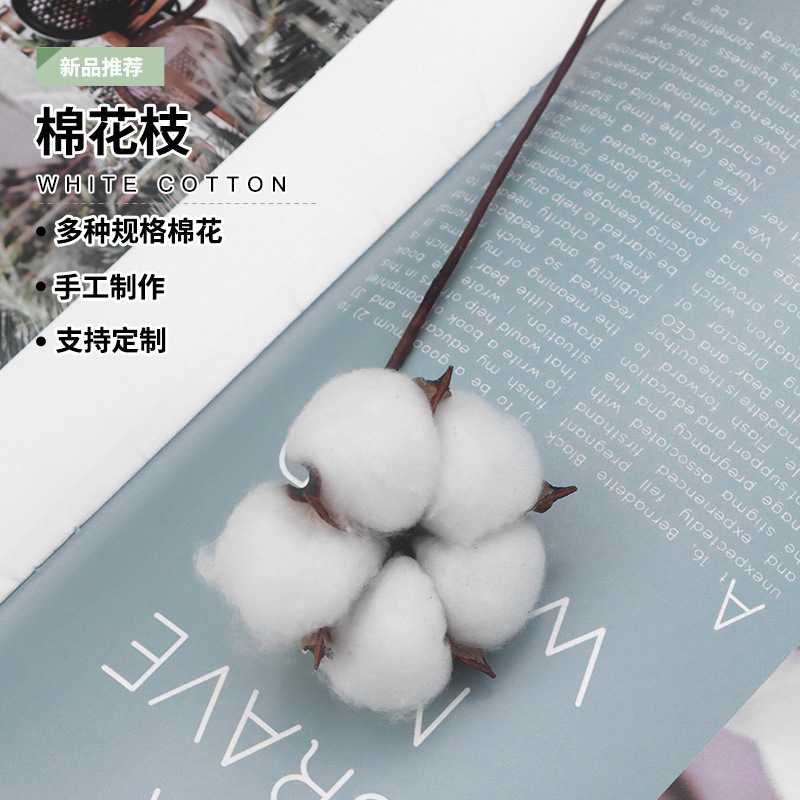 White Single Iron Cotton Immortal Flower Natural Artificial 4025 Cotton Decoration DIY Cotton Dried Flower Wholesale