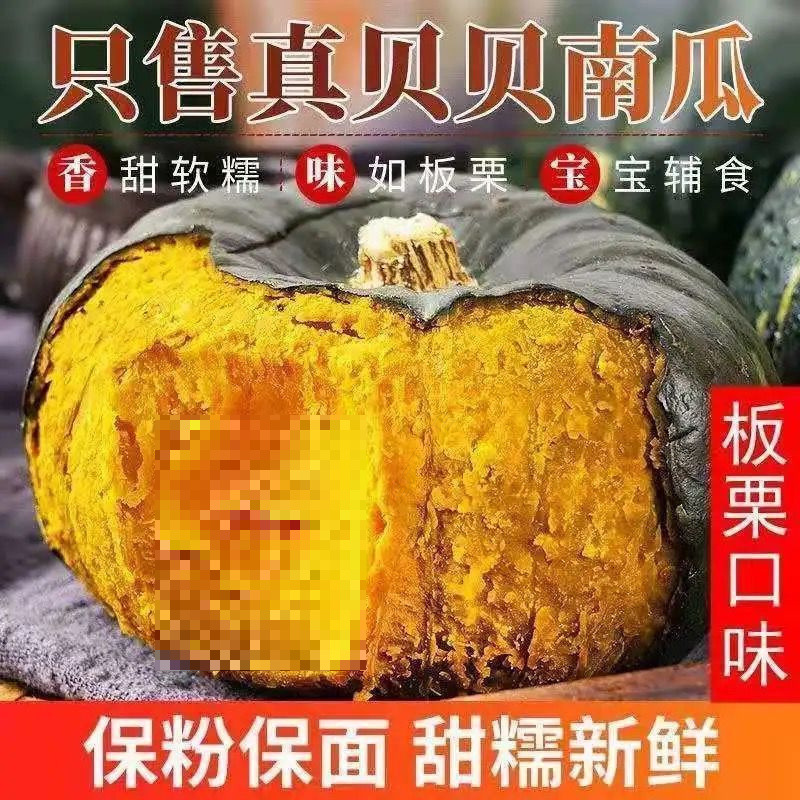 Authentic Zhenbeibei Pumpkin Chestnut Flavor Old Pumpkin Baby Food Supplement Pumpkin Powder Glutinous Sweet Fresh Free Shipping 0.05kg