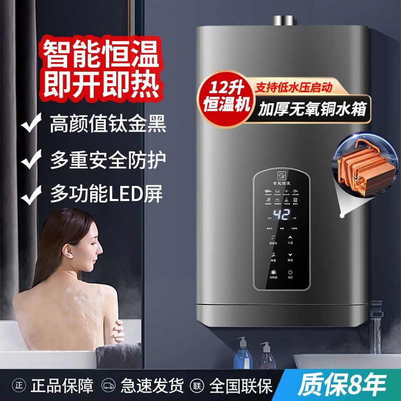 Газовый водонагреватель для дома на природном газе сжиженный газ принудительная вытяжка постоянной температуры сбалансированная модель