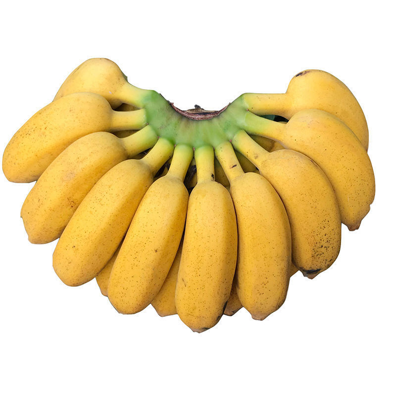 Free Shipping with Box 5kg Yunnan Sweet Bananas Naturally Ripe Seasonal Fresh Fruits Guangxi Millet Banana Plantain Wholesale