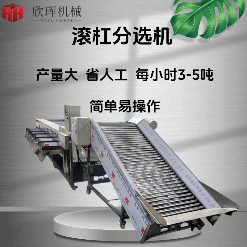 Многофункциональная машина для сортировки яблок и персиков, коммерческая машина для сортировки картофеля и таро, ротационная машина для сортировки фруктов и овощей из нержавеющей стали