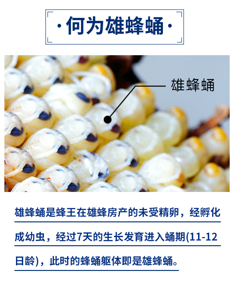 Male Bee Chrysalis Tablet Candy Freeze-Dried Pink Queen Royal Jelly Live Broadcast Second Class E-Commerce Strong Delivery