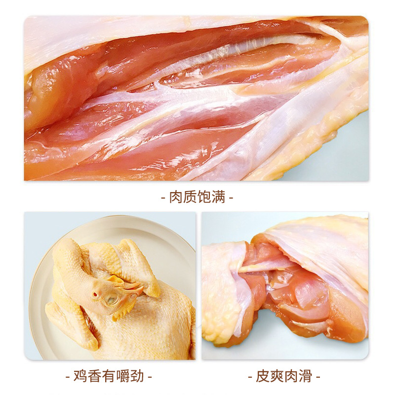 Hainan Wenchang Chicken, Coconut Chicken, Direct Sales from the Manufacturer, Freshly Slaughtered, Fresh White-Cut Chicken, Farm-Raised Free-Range Chicken, Grass-Fed Chicken