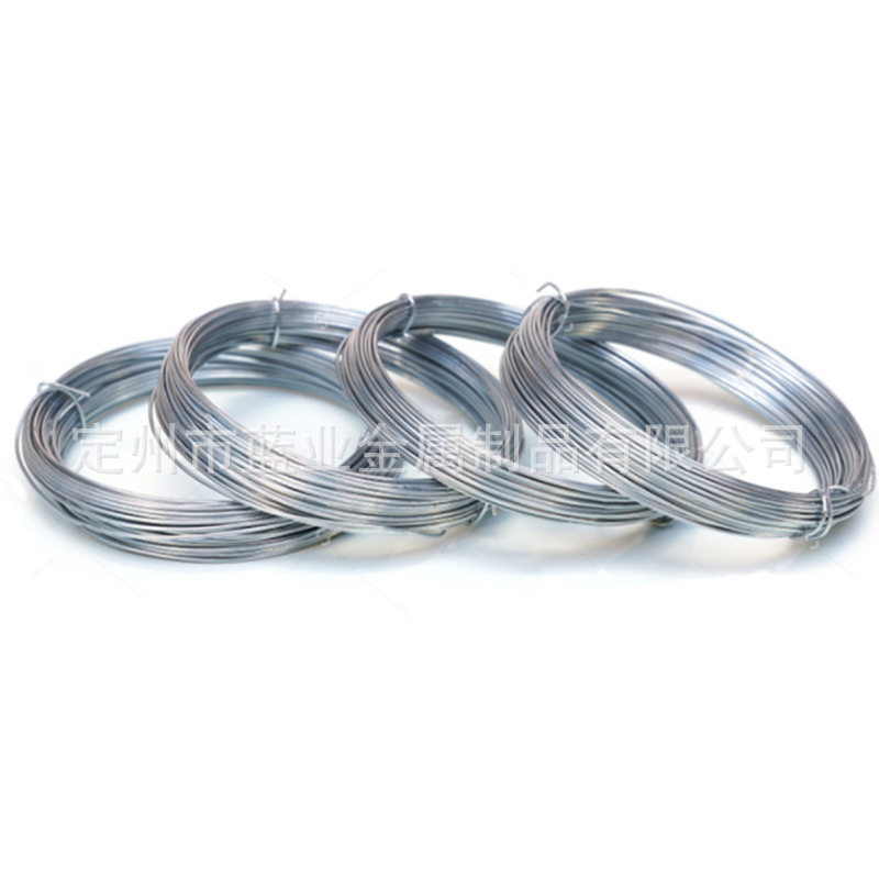 Cross-Border Custom Hot-Dip Galvanized Small Coil Wire for Gardening, Plant Greenhouses, Home Construction, Binding Wire, Small Spool Wire, 10m Rolls