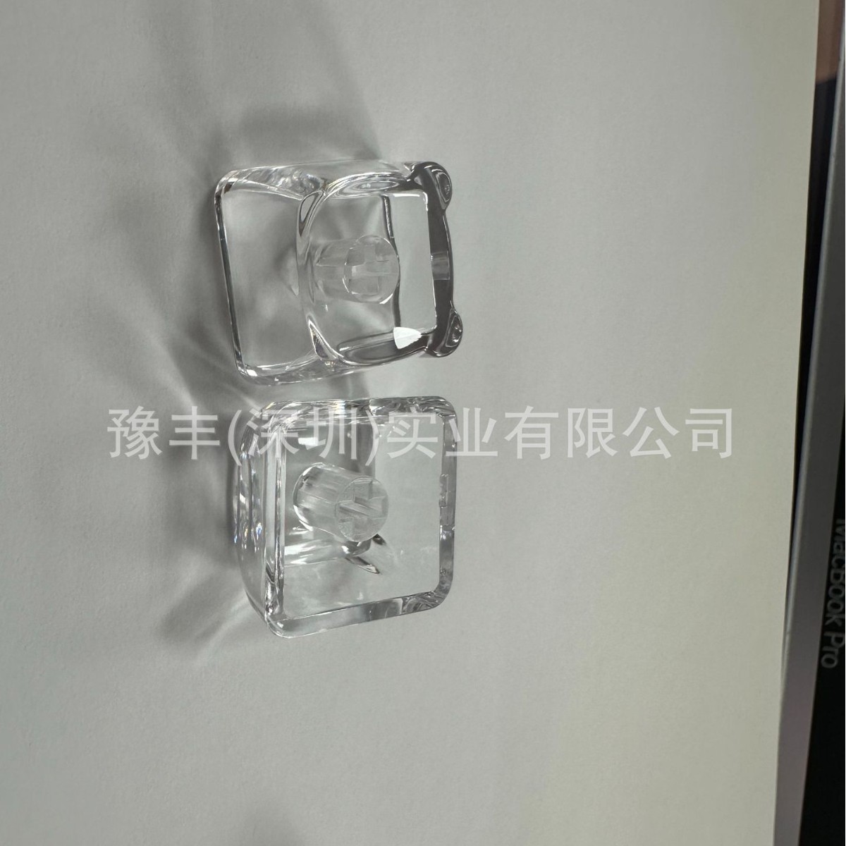 Transparent Panda Head Keyboard Keycap Moa Magnetic Switch Special Personalized Keycap Pc Transparent Material 1U Can Be Used for Colorful DIY