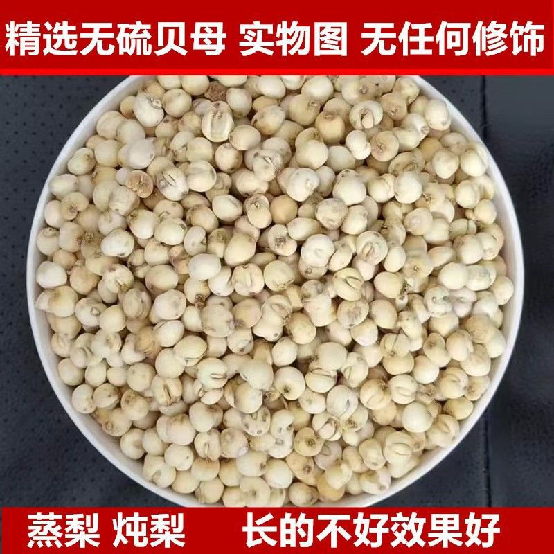 Original Color Sichuan Fritillary Granules 250g Fritillary Premium Sichuan Sulfur-Free Large and Small Fritillary Stewed with Snow Pear Soaked in Water Free Shipping