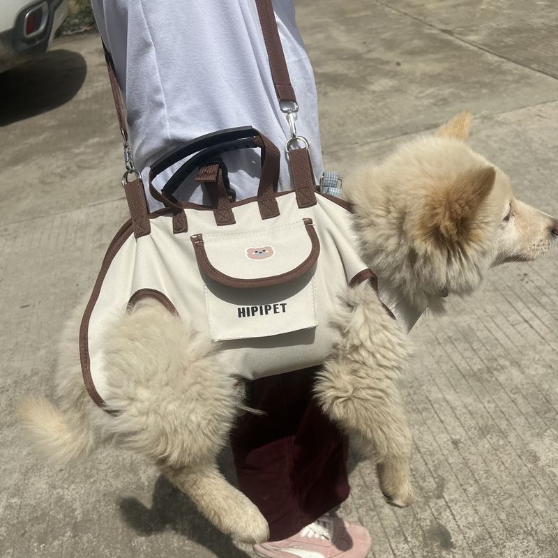 Outdoor Dog Outing Portable Bag, Portable Cross-Body Puppy Backpack with Strap, Pet Travel Bag, Travel Supplies