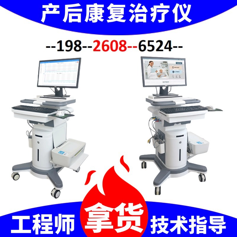 Postpartum Rehabilitation Comprehensive Treatment Instrument Hospital's Same Equipment Postpartum Pelvic Floor Rehabilitation Comprehensive Treatment Instrument Training Fee