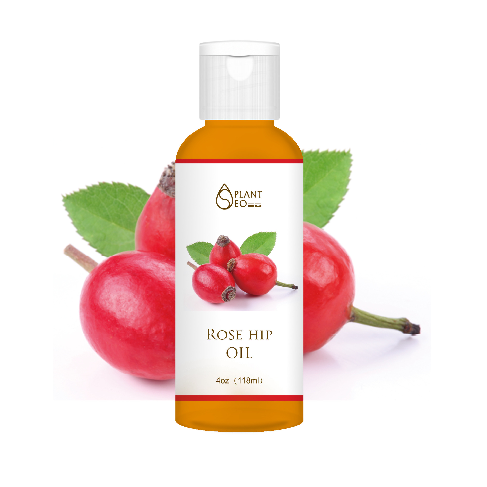 Small Bottle of Jojoba Oil Coconut Oil Jojoba Oil Grape Seed Plant Base Oil Beauty Salon Unilateral Base Oil