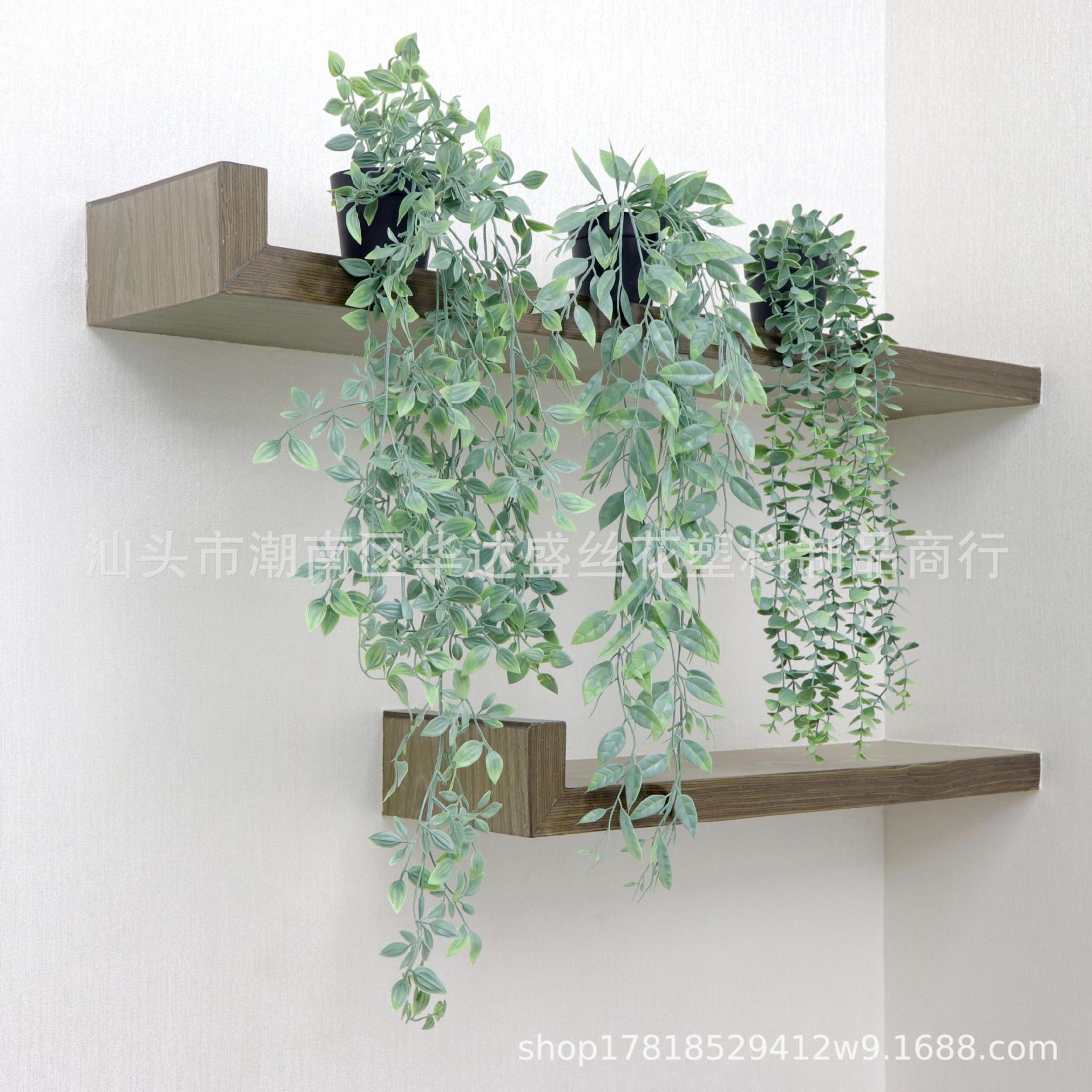 Cross-border simulation Eucalyptus mandala potted pea pod hanging eucalyptus leaves potted green plants decorative bonsai