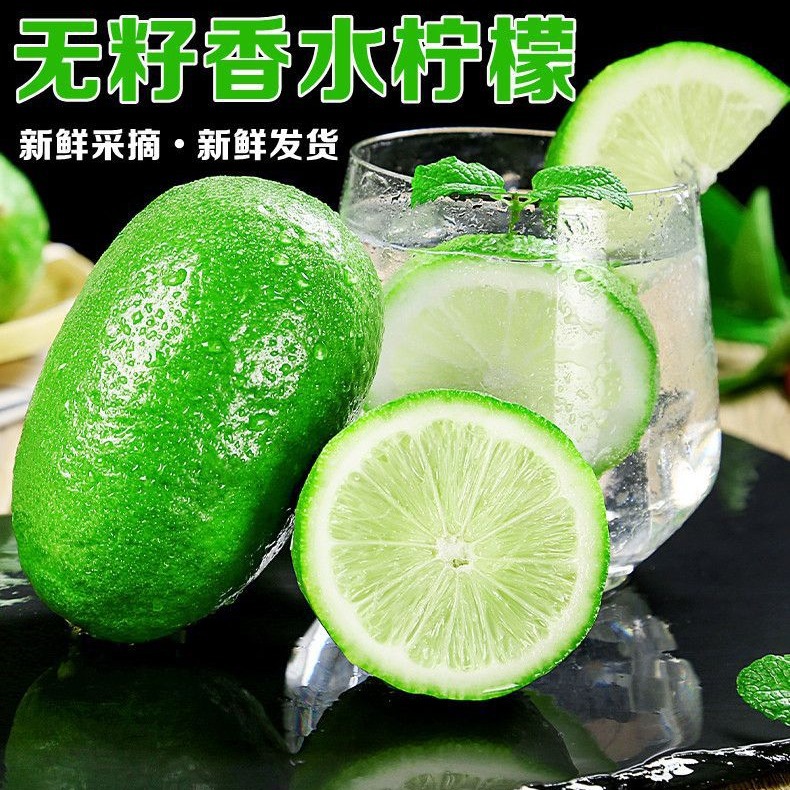 Guangdong Perfume Lemon Fresh Wild Green Lemon Seedless Large Fruit Special Fruit Seasonal Fruit Milk Tea Shop Exclusive