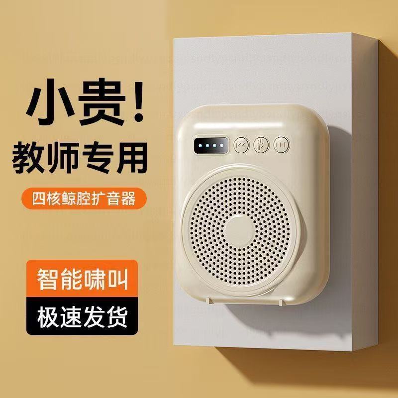 Усилитель голоса Qisheng S27 для учителей и экскурсоводов, портативный мегафон для продаж в торговых центрах