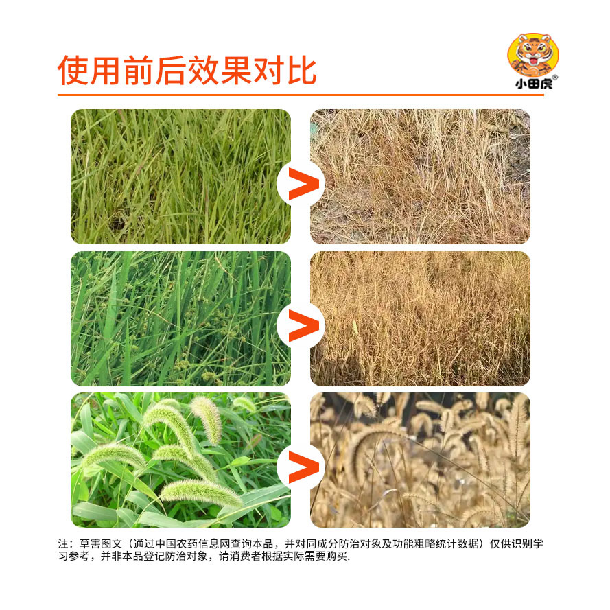 Oda Tiger 10% Glyphosate Herbicide for Orchard Weeding and Wasteland Control