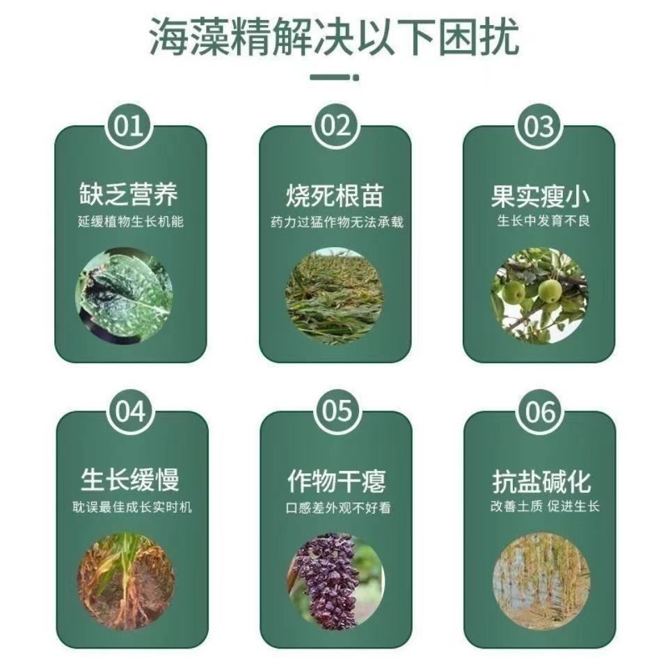 Seaweed Essence, Fruit and Vegetable Rooting Agent, Water-Soluble Fertilizer, Rooting and Seedling Improvement, Soil Improvement, Promoting Roots and Seedlings, Agricultural Seaweed Essence