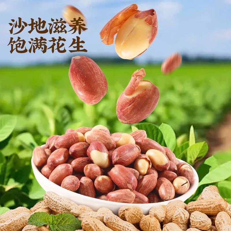 Spiced Astragalus Codonopsis Roasted Peanuts Shandong Specialty Cooked Roasted Spiced Peanuts Ready-To-Eat Snacks for Drinking and Snacks Dropshipping