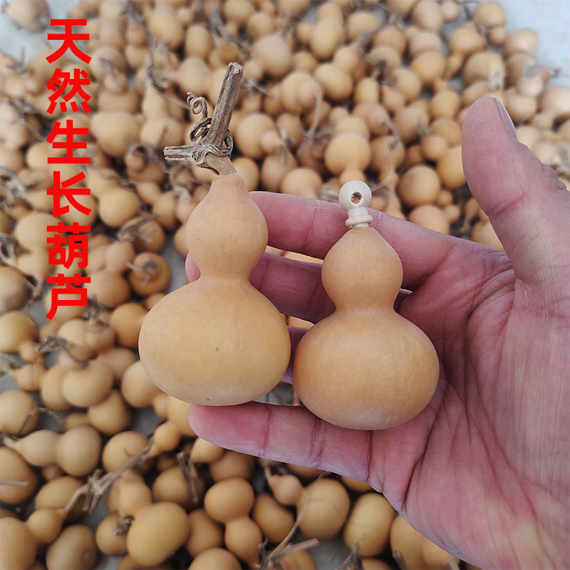 Натуральная маленькая тыква с краном и пробкой, оптовая продажа маленькой тыквы, ручная закрученная маленькая красивая тыква