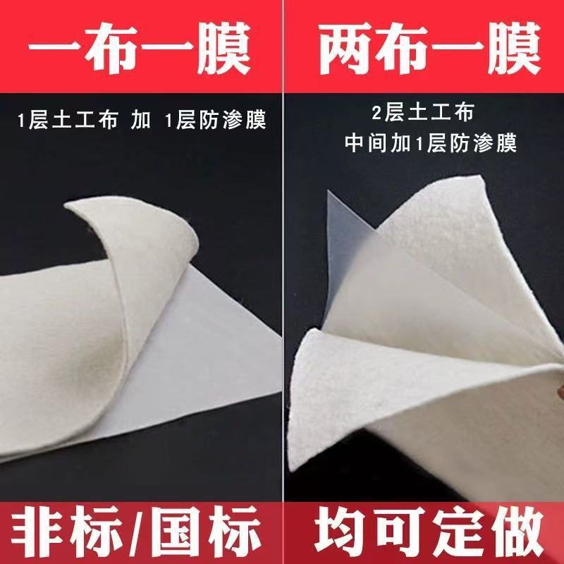 Pe Slope Protection Special Hd Anti-Seepage Long Life Durable Waterproof and Moisture-Proof Geomembrane Two Fish Ponds Reservoir Composite