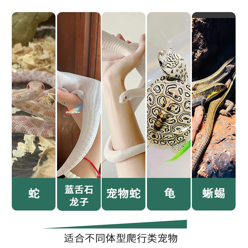 Pet Liquid Calcium for Turtles, Lizards, Snakes, Horned Frogs, and Reptiles; Easy-To-Absorb Nutritional Liquid Supplement